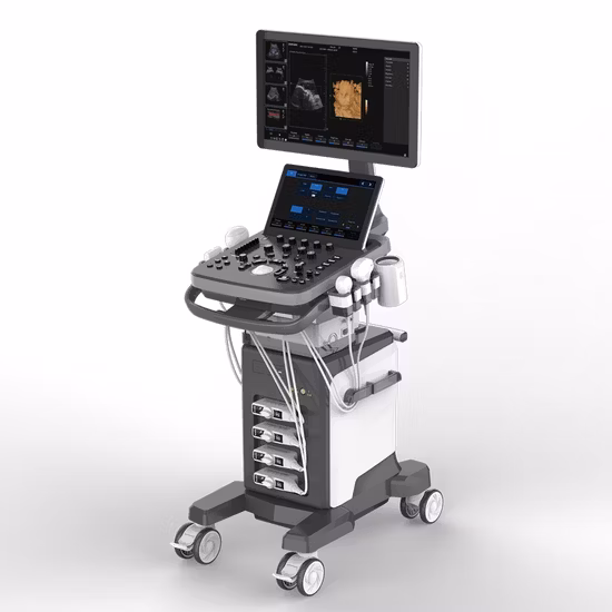 Medical Diagnosis Equipment Portable B/W Ultrasound Scanner with CE ISO